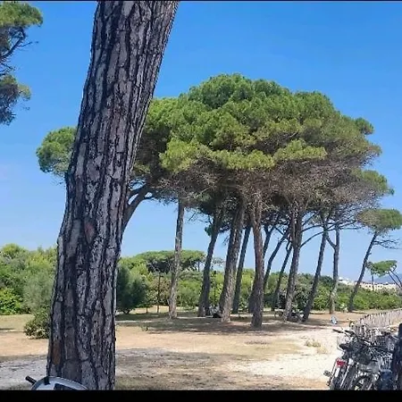 A Casa Di Fiorella Apartament